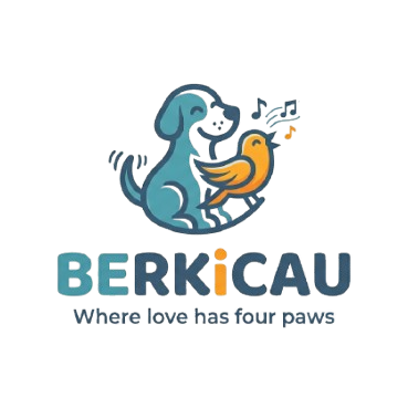 berkicau